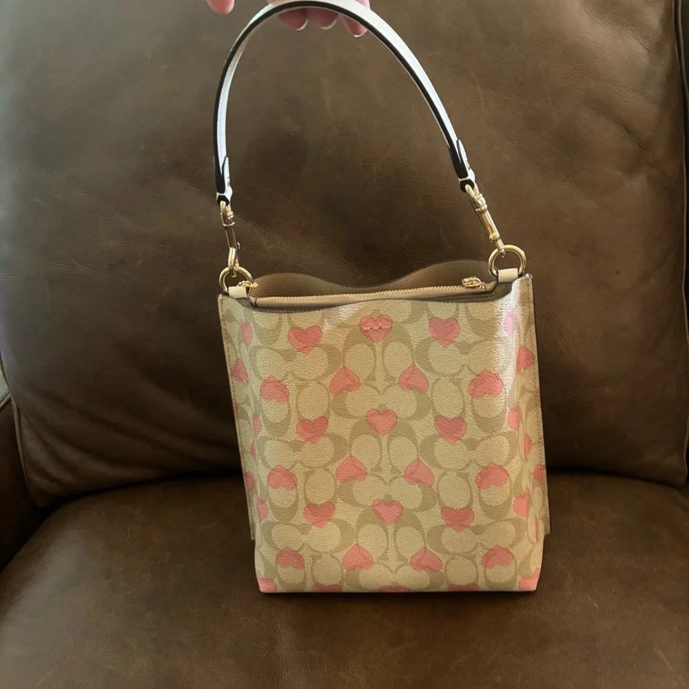 Coach Limited Edition Mollie Bucket 22 Bag Valentines 2024 Collection Pink Heart - Picture 16 of 16